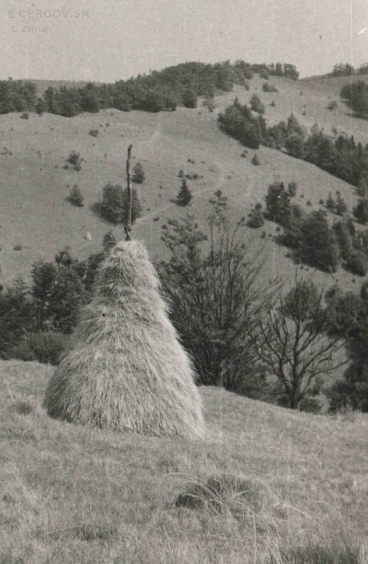 Čergovské vrcholové lúky