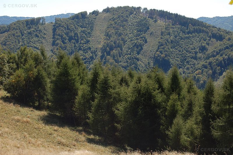 Premenený les vrchu Škaredé