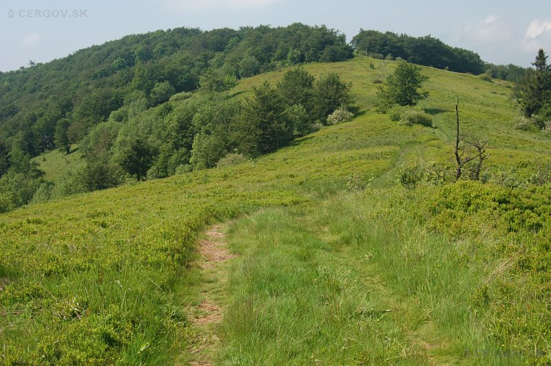 Národná prírodná rezervácia Čergovský Minčol