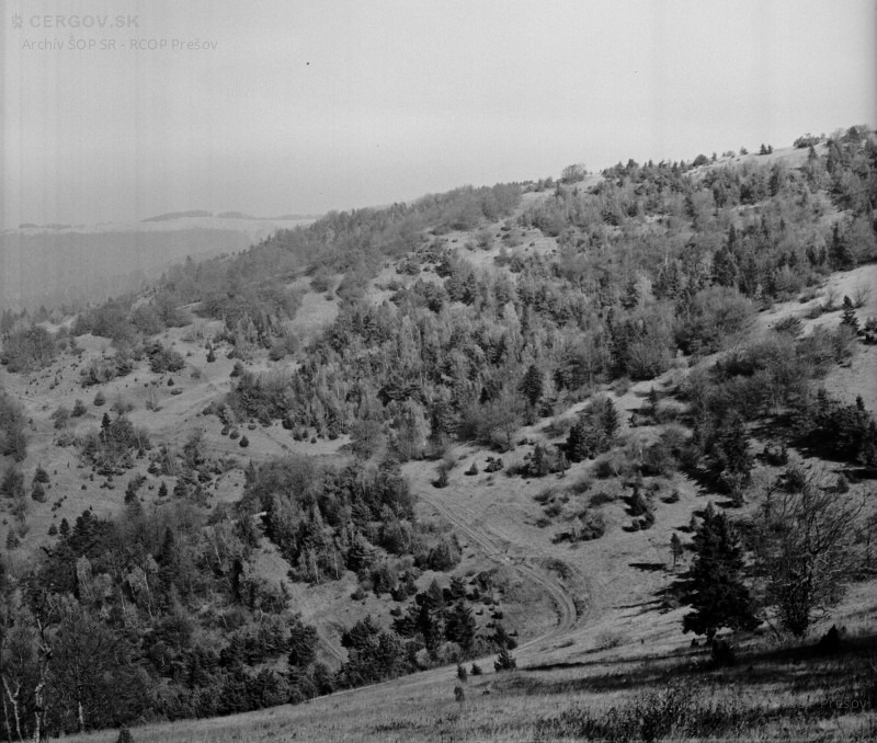 Pohľad na severozápadný hrebeň vrchu Okrúhla od Oltárkameňa. Dole cesta vedúca do osady Baranie - dnes modrá turistická trasa.