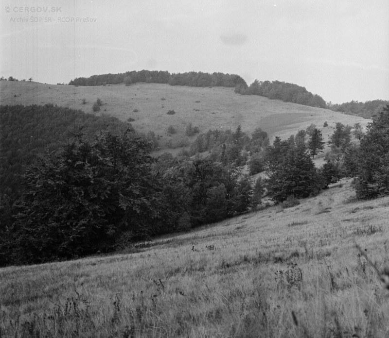 Čergovské horské vrcholové lúky v oblasti sedla Chochuľka