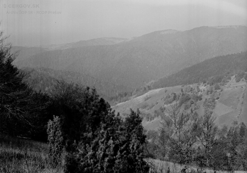 Pohľad od Oltárkameňa na lúky a cestu vedúcu do osady Baranie - dnes modrá turistická trasa.