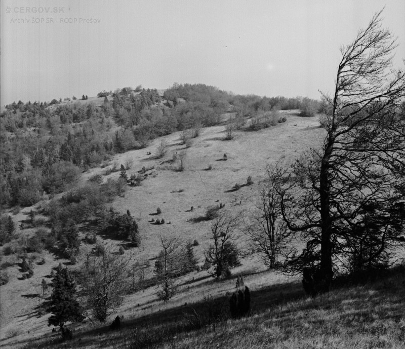 Pohľad na vrch Okrúhla od Oltárkameňa