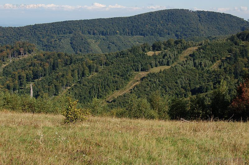 Výhľad na Bukový vrch