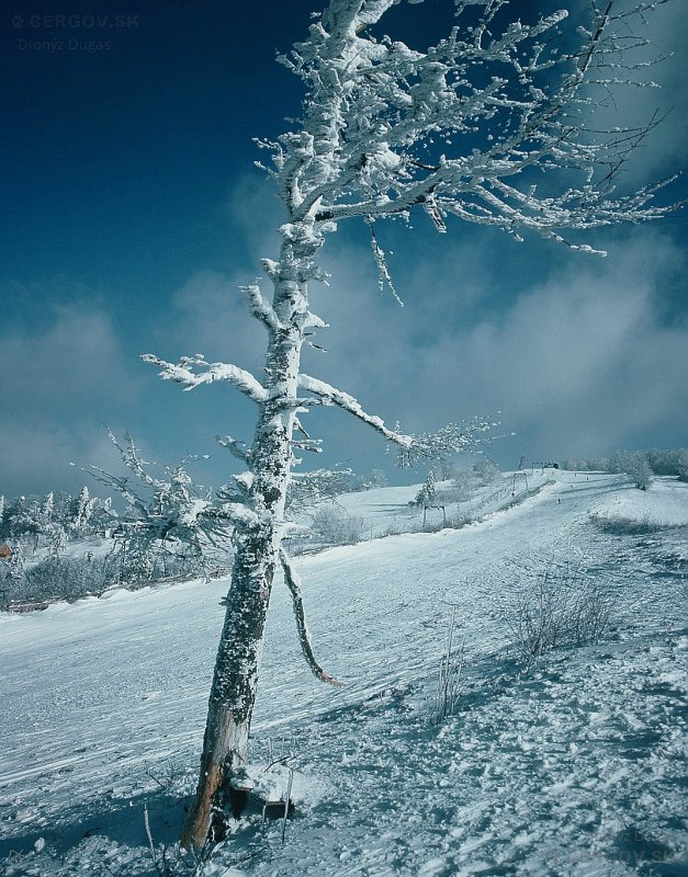 Lysá (ešte bez stožiarov)