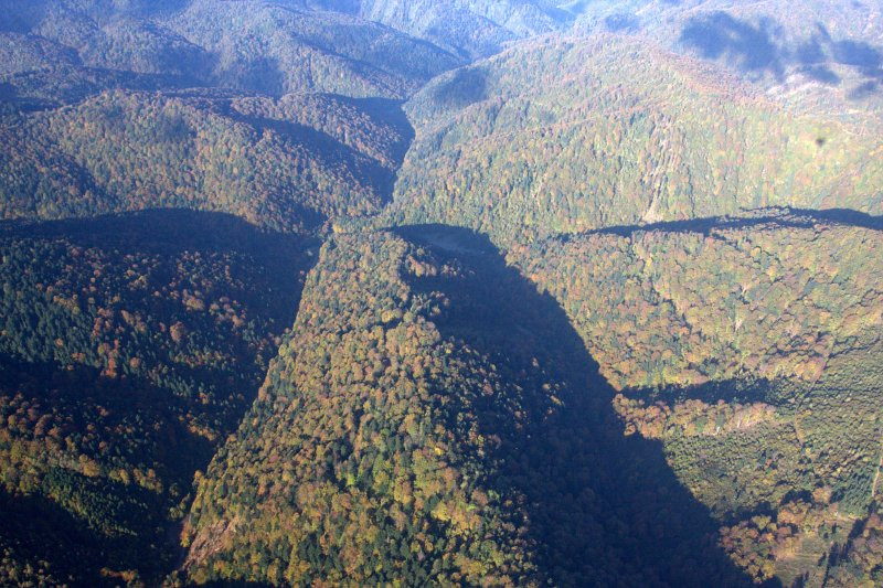 Dolina potoka Ľutinka