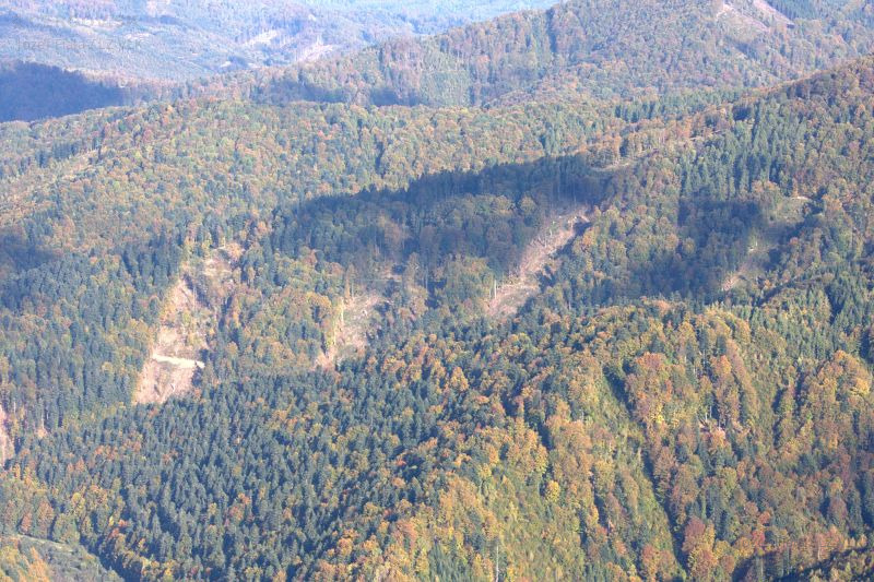 Holoruby na južnej strane Škaredého