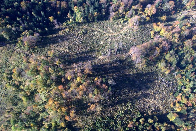 Holorub okolo hrebeňovej cesty zo sedla Besná k Hačurovej