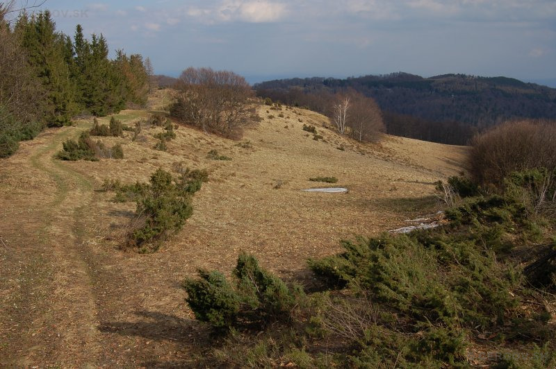 Pohľad z Veľkej Javoriny