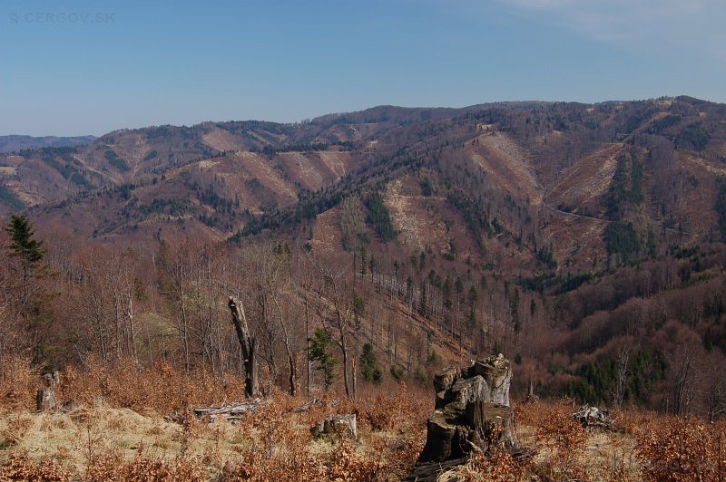 Lesy nad obcou Livov - pohľad na oblasť Vtáčny