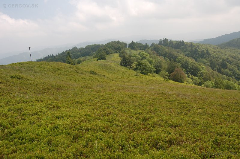 Národná prírodná rezervácia Čergovský Minčol