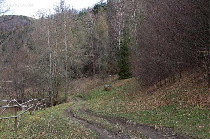 Nad cestou v polovici 20. storočia stál dom v usadlosti Pavla a Andreja Starinského
