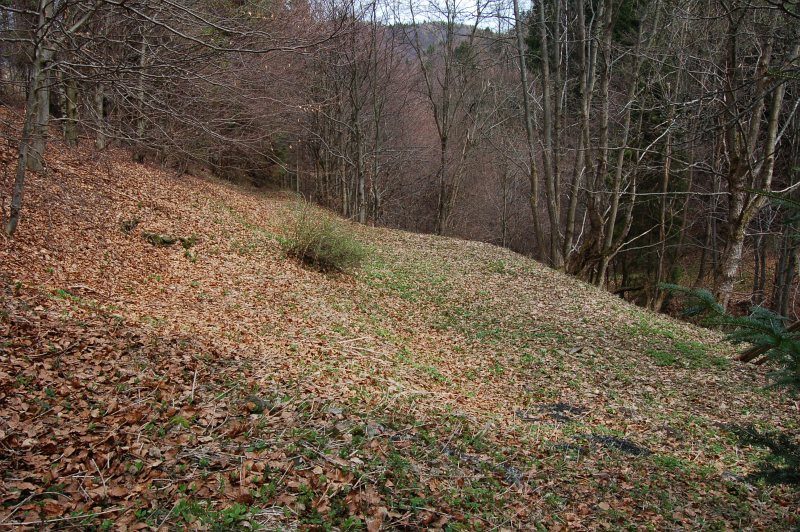 Na tomto mieste stál v 20. storočí dom Andreja Jasenského