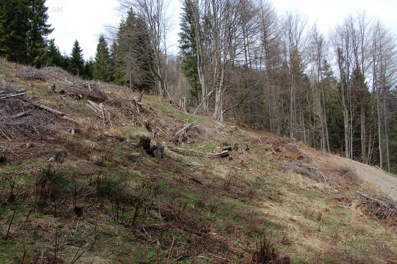 Miesto, kde stála usadlosť Jána Švedu