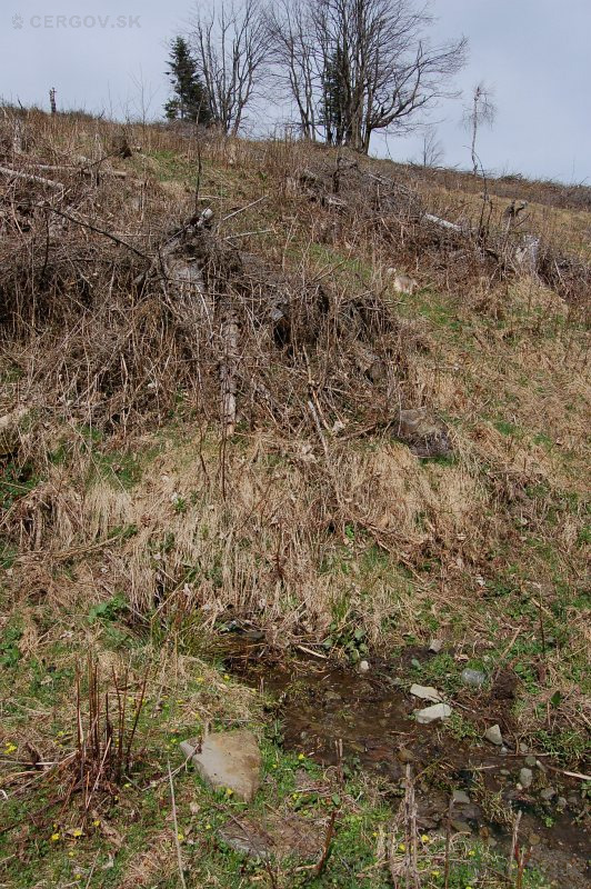 Prameň pri bývalej usadlosti Jána Timuru