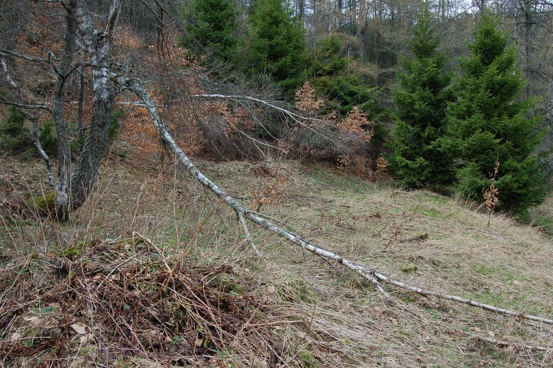 Miesto bývalej usadlosti Michala Timuru