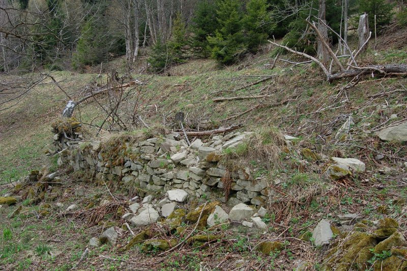 Usadlosť Michala Starinského