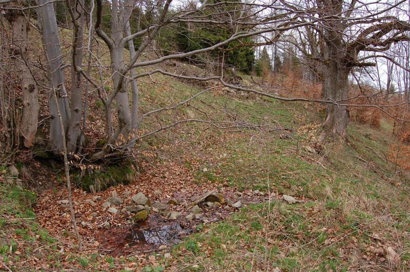 Prameň pri usadlosti Michala Starinského