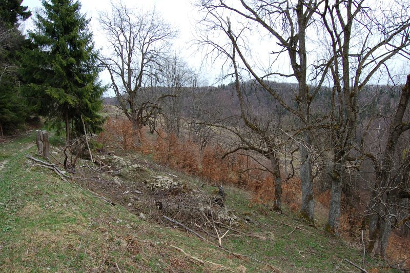 Usadlosť Michala Starinského