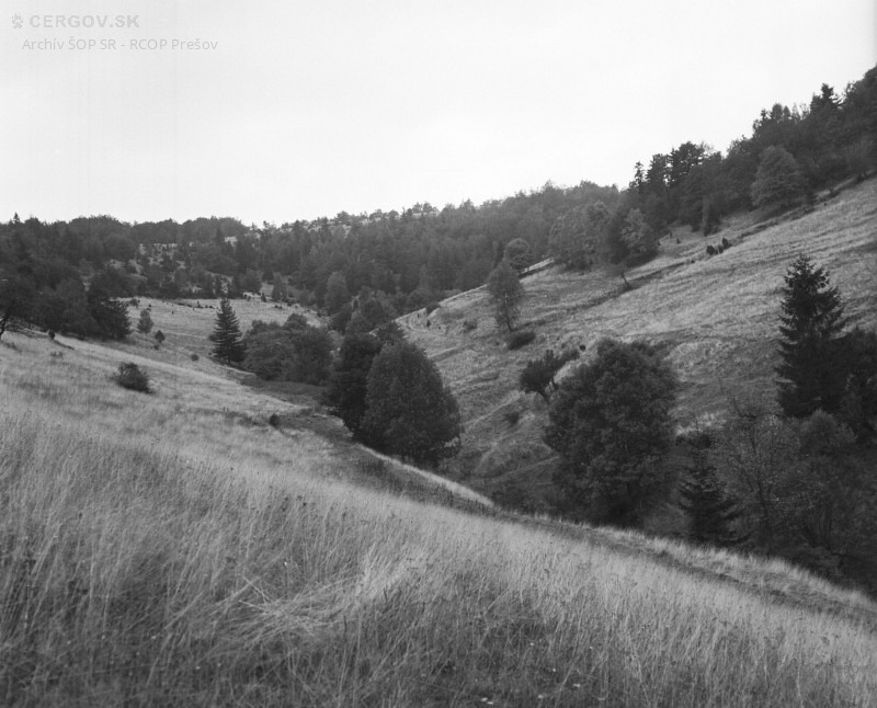 Lúky nad Ambrušovcami