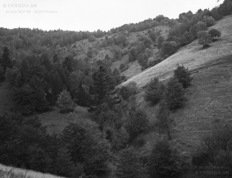 Lúky nad Ambrušovcami