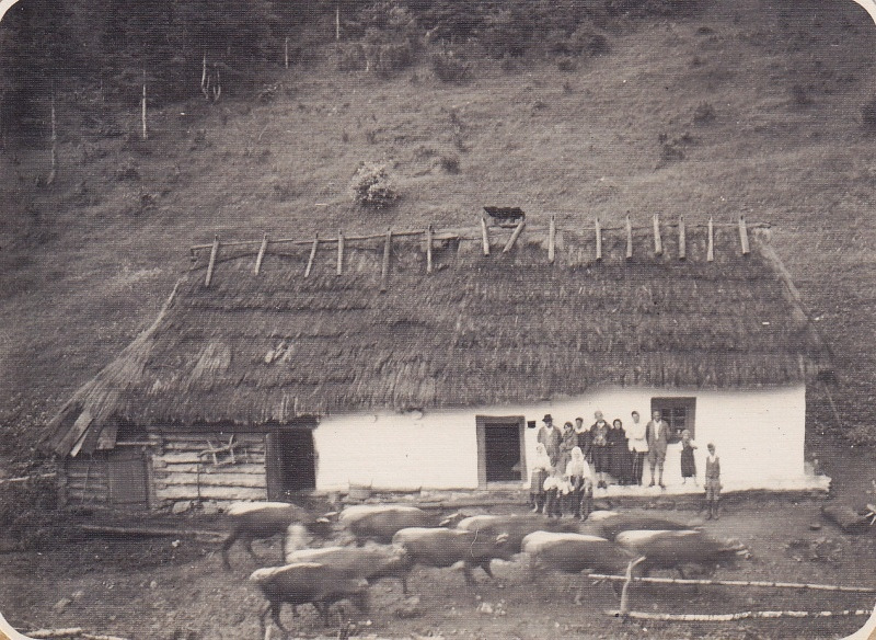 Drevenica Starinských v Ambrušovciach