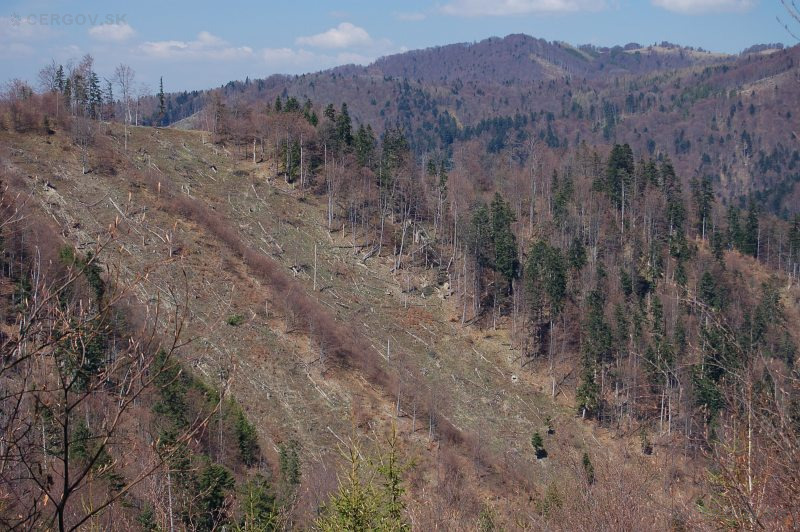 V pozadí Hrašovík