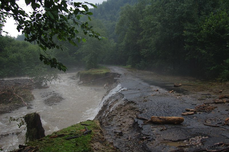 Topľa medzi Livovom a Livovskou Hutou