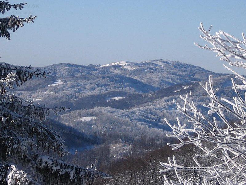 Minčol z Veľkej Javoriny