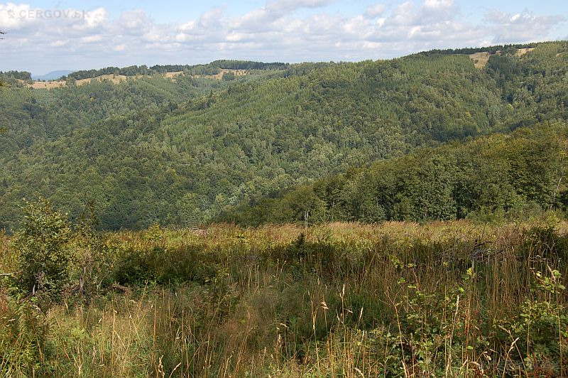 Výhľad zo Škaredého na hlavný hrebeň