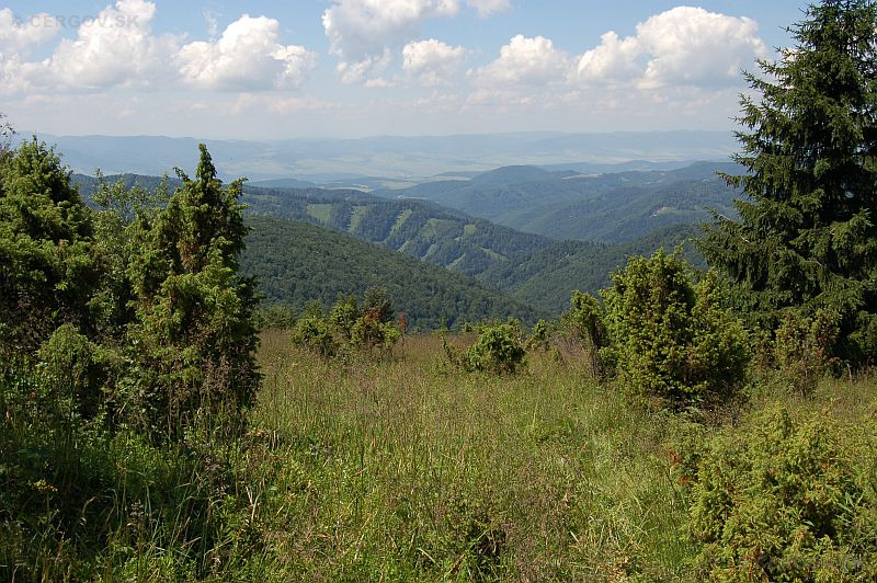 Pohľad z Veľkej Javoriny